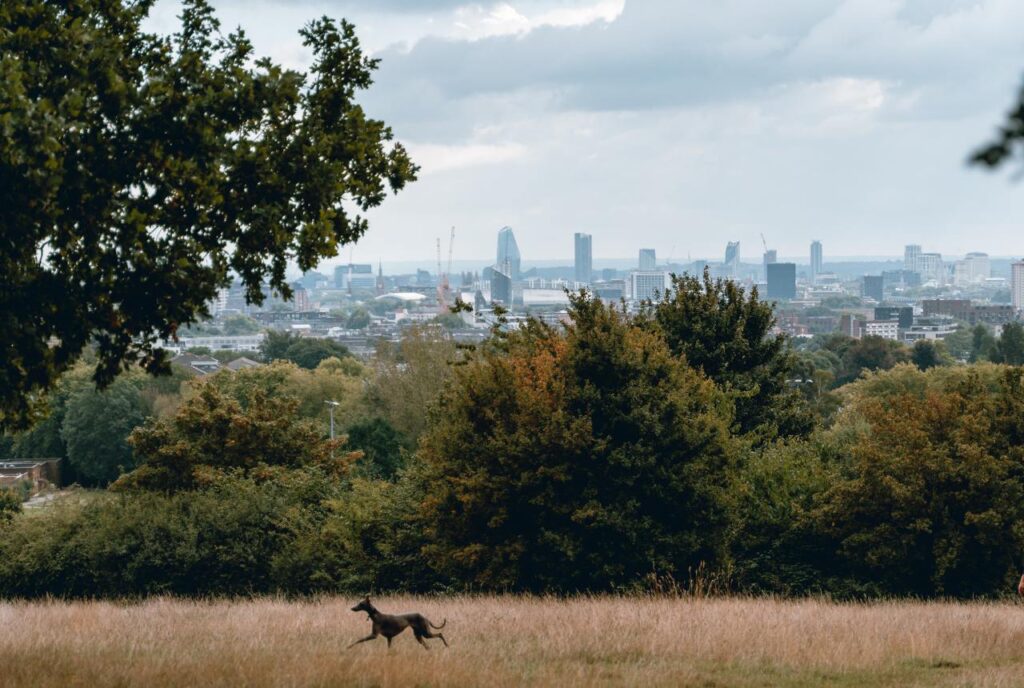 London