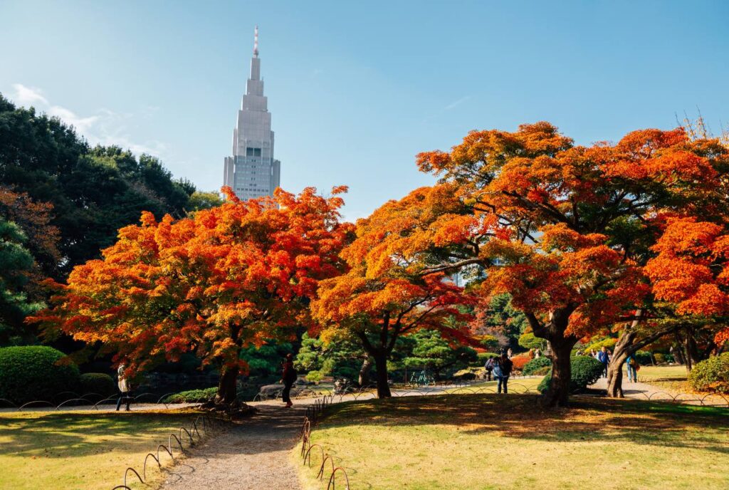 Tokio