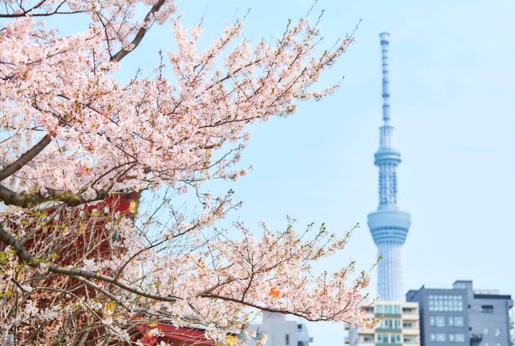 Tokio