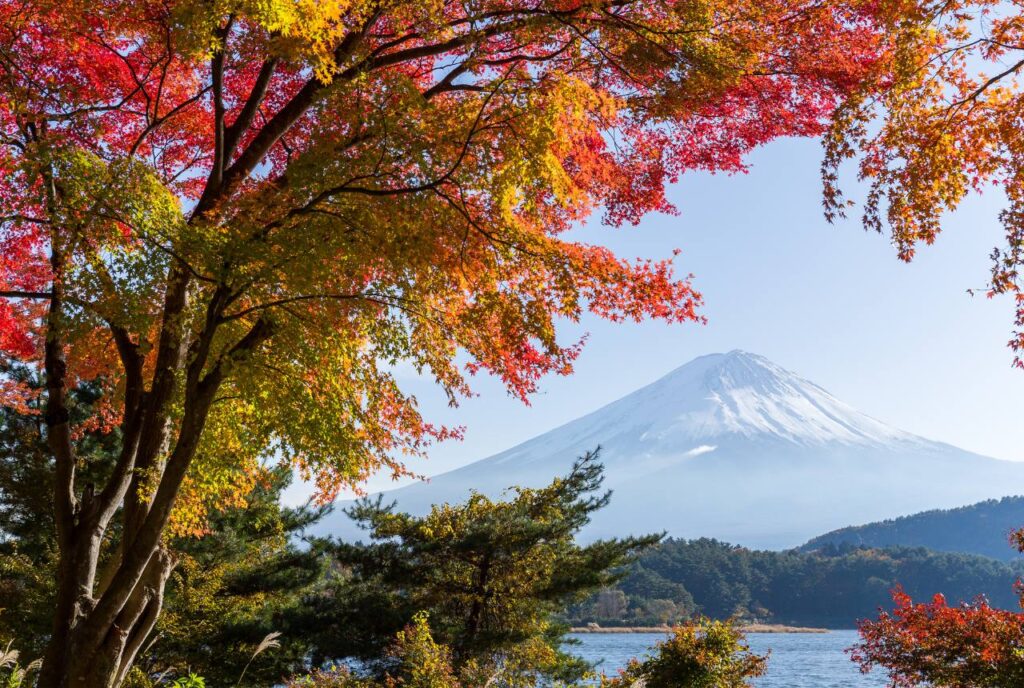 Tokio