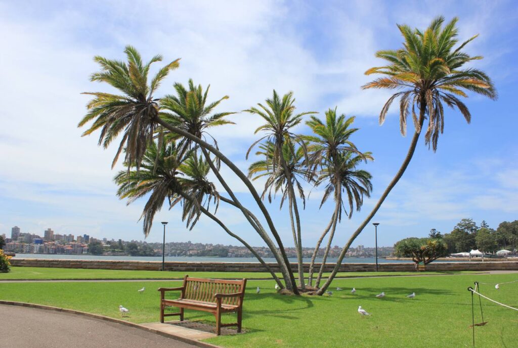 Sydney
